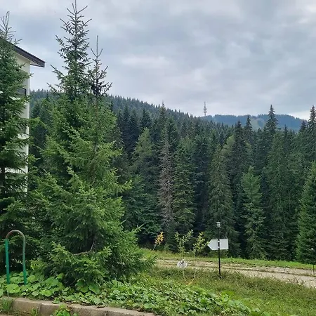 Five Pamporovo